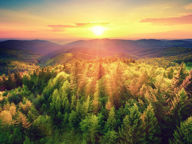 喜臭之人-趣味人体