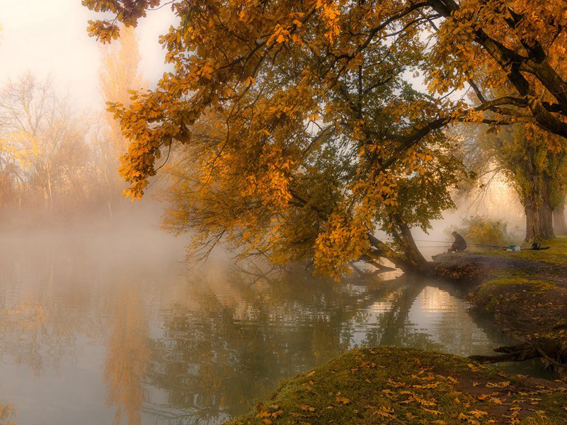 不怕冷的人-趣味人体