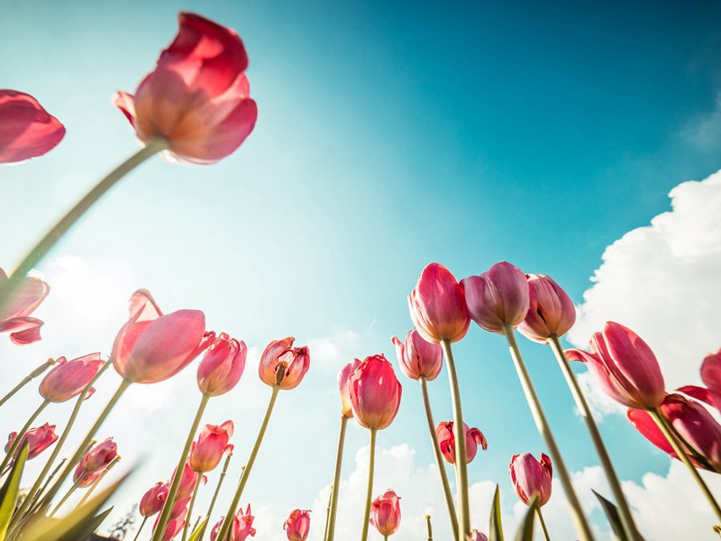 最难解释的梦游症-趣味人体