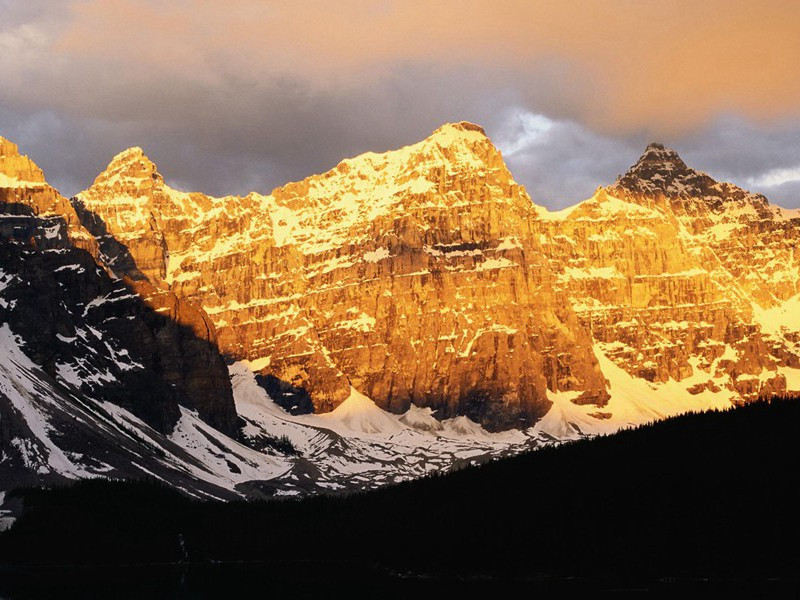 心脏“永不疲倦”之谜-趣味人体