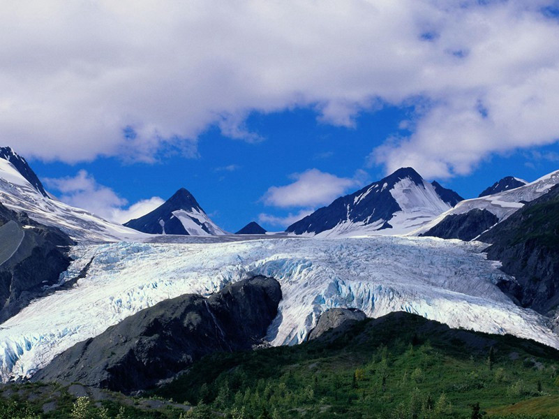 心脏也有智能-趣味人体