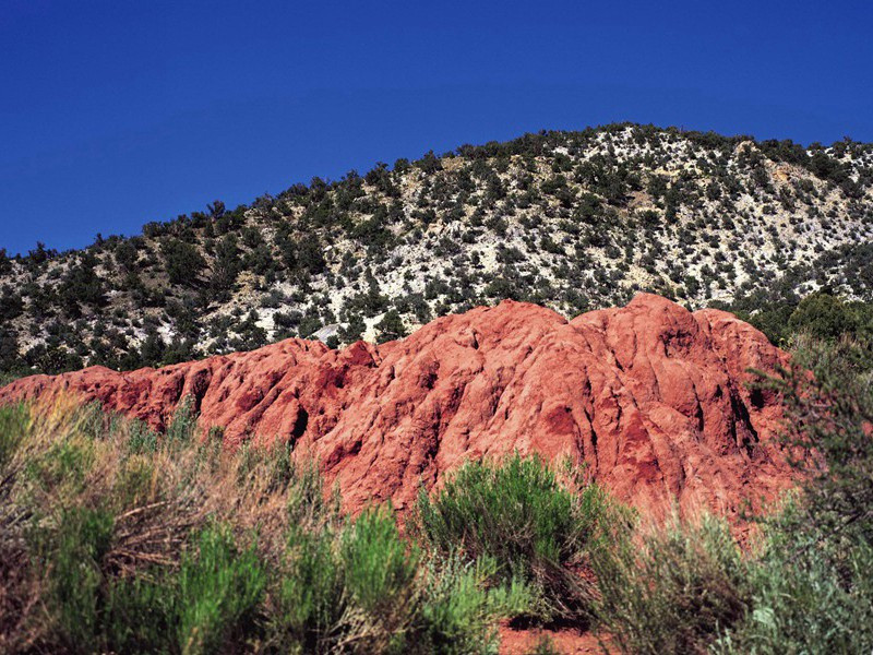 头上长角和身上长刺-趣味人体