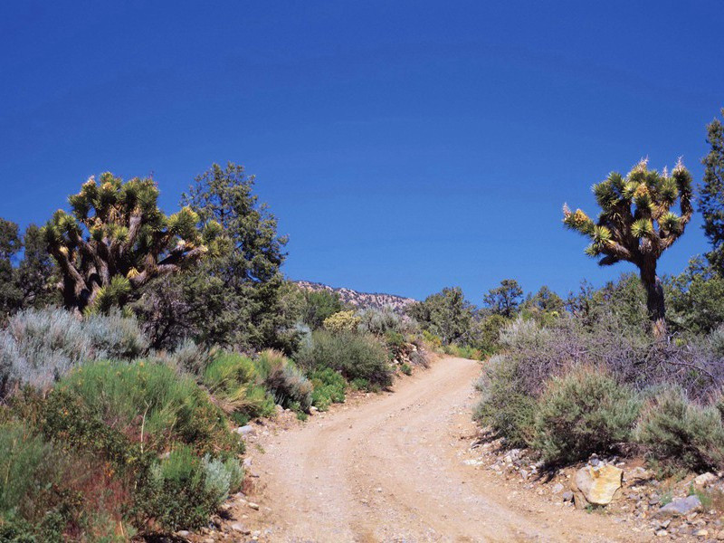 “肉身”不腐至今研究无果-趣味人体