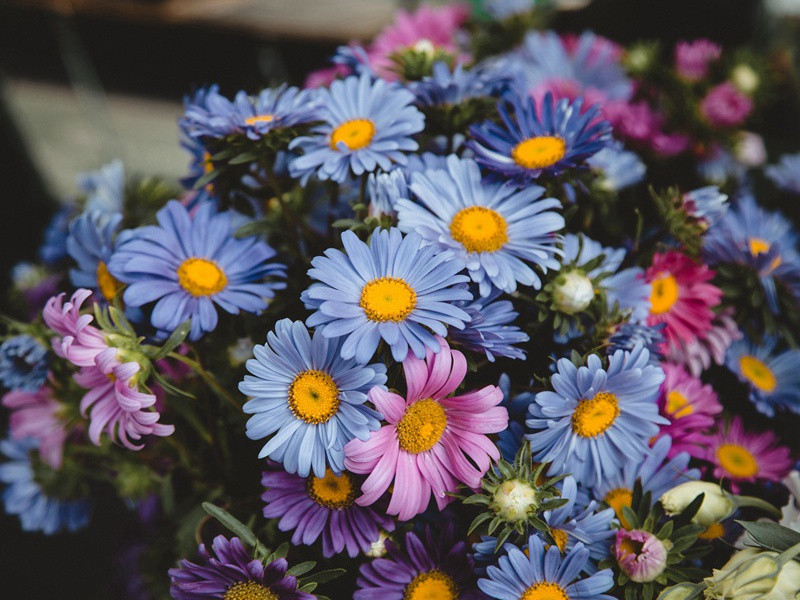 语言之谜-趣味人体