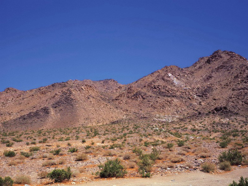 人类衰老之谜-趣味人体