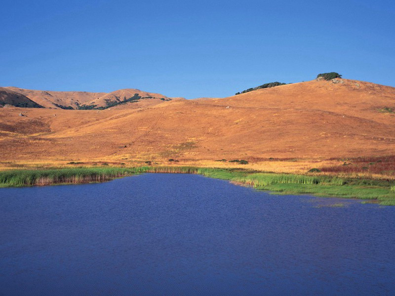 人类身高之谜-趣味人体