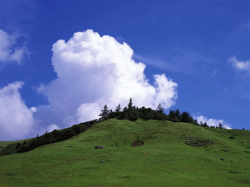 色盲的原因之谜-趣味人体