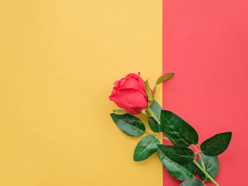 神针与经络-趣味人体