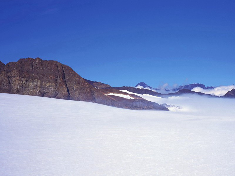 人体异象基因谜团与科学解释的边界探索-古怪人类探秘