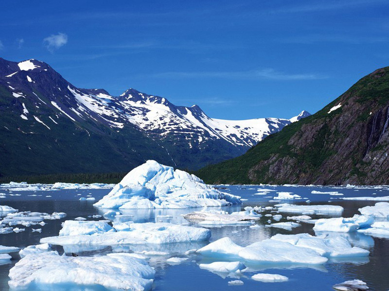 新生儿趣事-古怪人类探秘