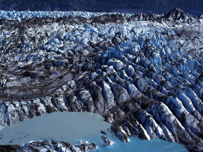 蜥蜴人-古怪人类探秘