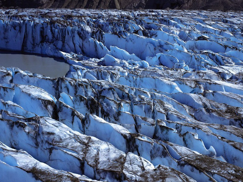 奇怪的两性人-古怪人类探秘