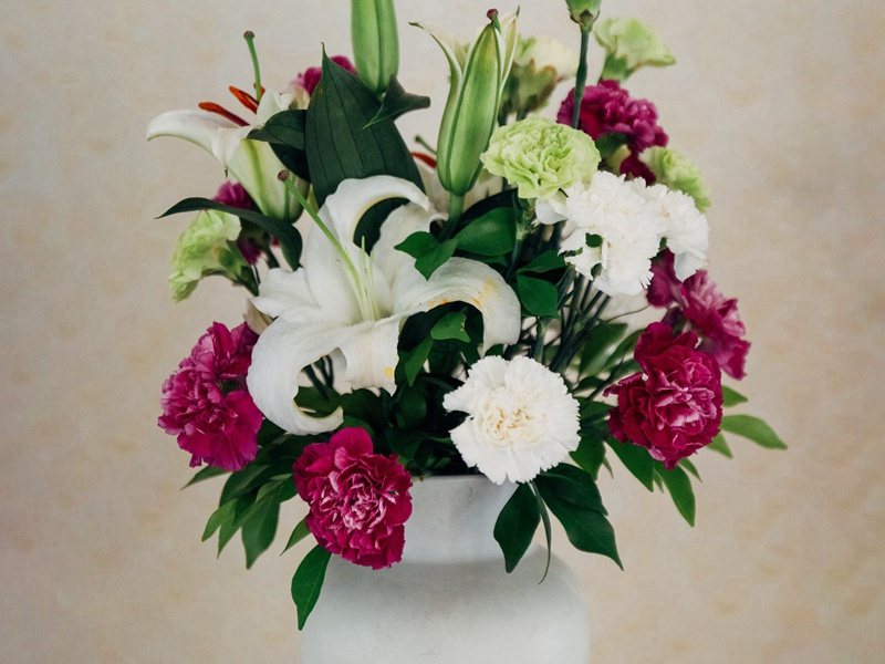 双面人之谜-古怪人类探秘