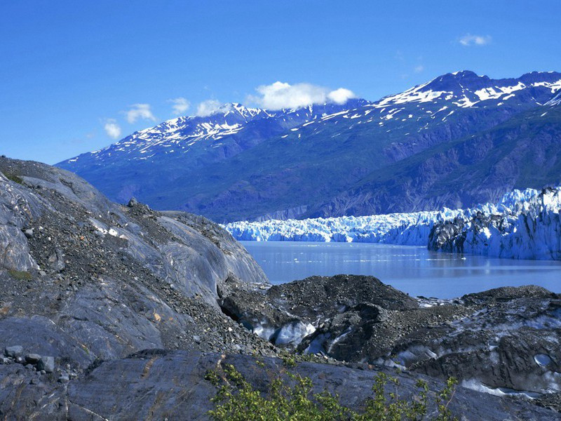 三条腿的怪人-古怪人类探秘