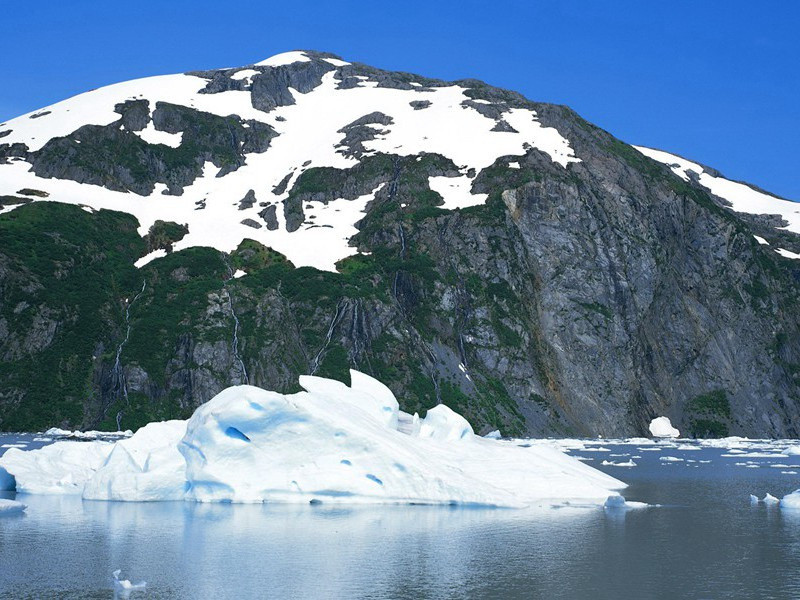 人体生物钟之谜-神奇的心理感应现象