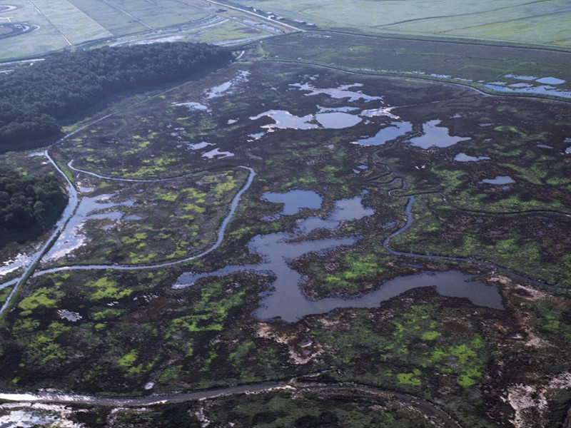 人的第六感觉-神奇的心理感应现象