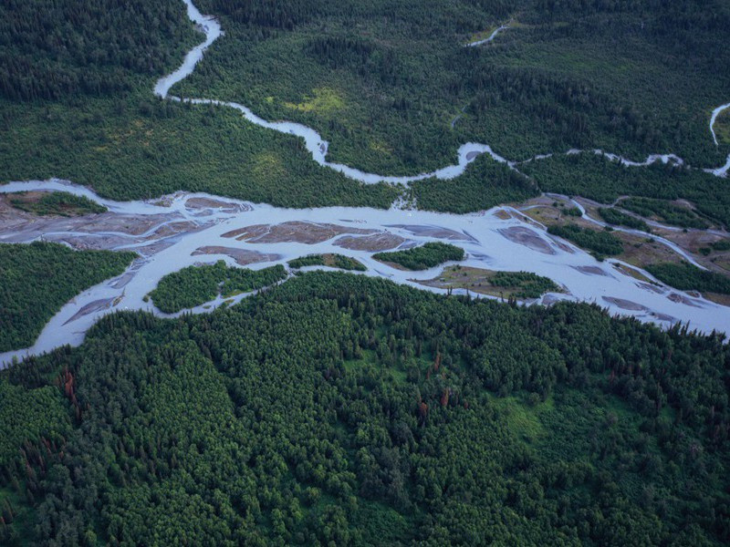 神秘的超感觉-神奇的心理感应现象