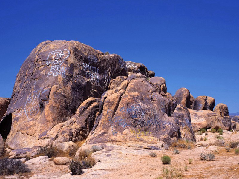 吃钉子、毒蛇为生之谜-世间奇人异事