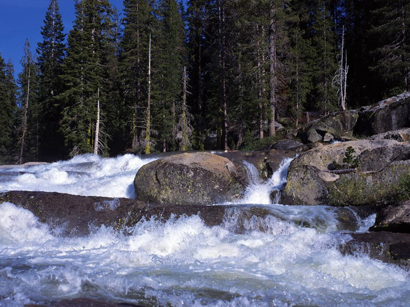散发香气治病的印度神人-世间奇人异事