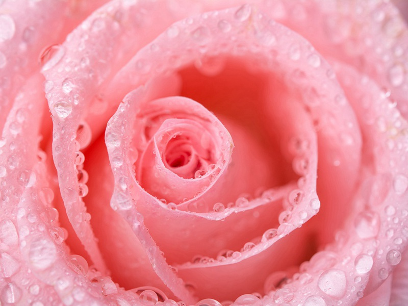 黑白双胞胎-世间奇人异事