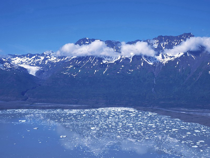 多胞胎之谜-世间奇人异事