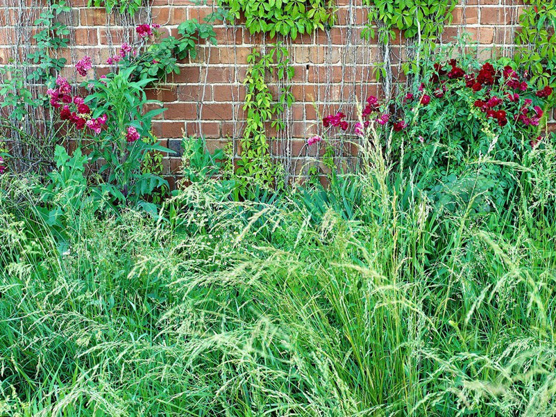 比电脑还快的心算专家之谜-世间奇人异事