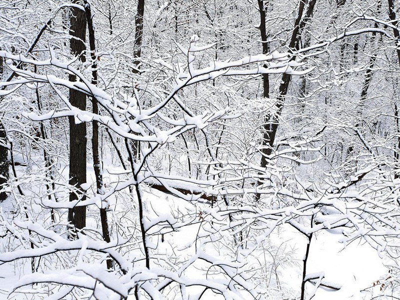 人体发光之谜-世间奇人异事