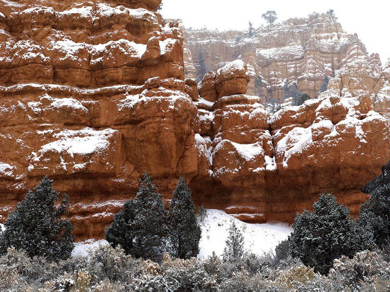 同一身躯的两次出现-世间奇人异事