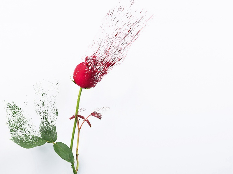 丢失自己的人-世间奇人异事