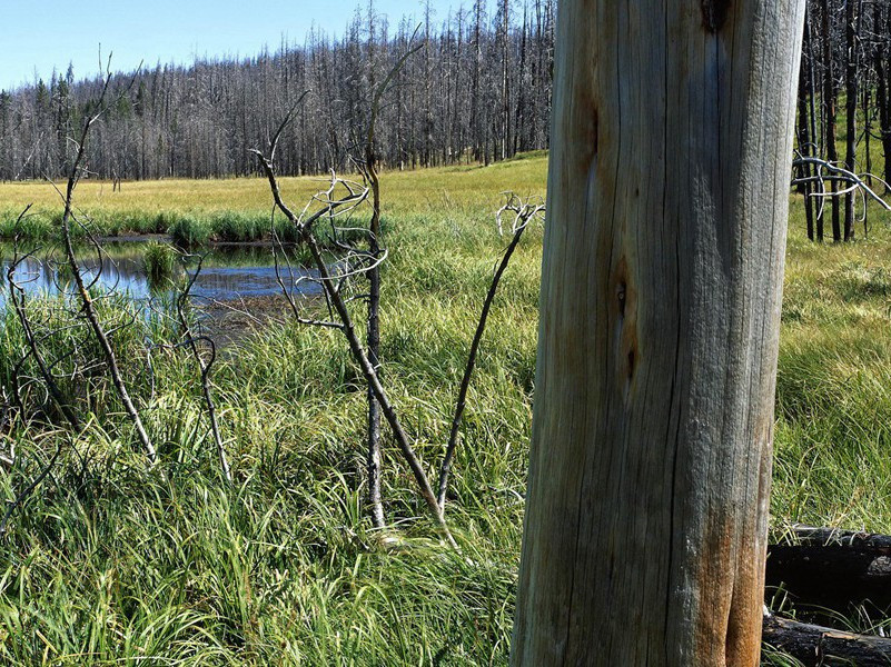 绞而不死的人-世间奇人异事