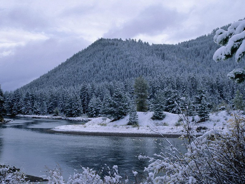 会看唱片的人-世间奇人异事