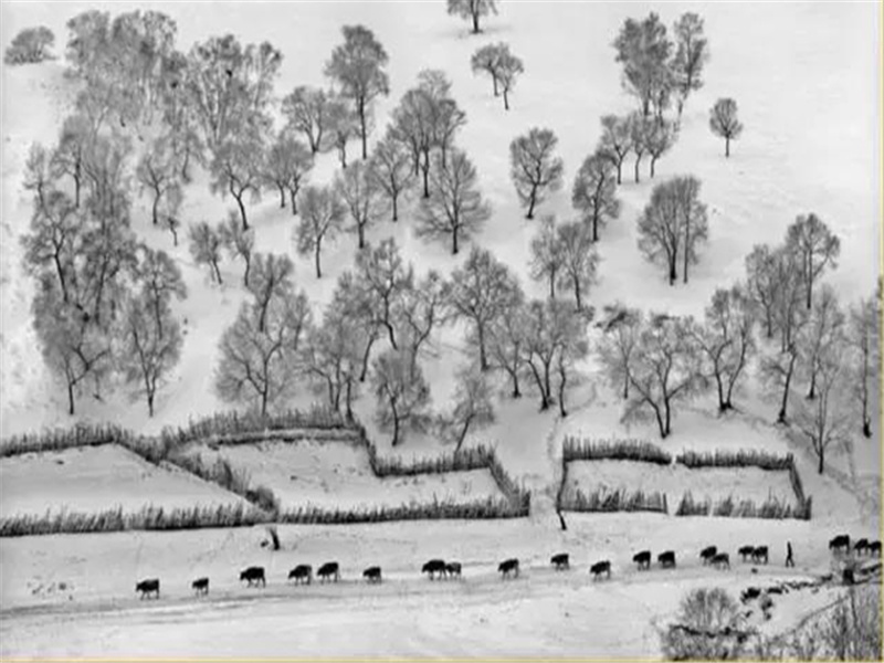 达.芬奇是同性恋者吗-历史名人事迹追踪