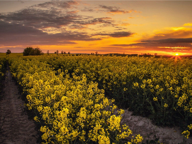 神仙中的大款-中国文化之谜
