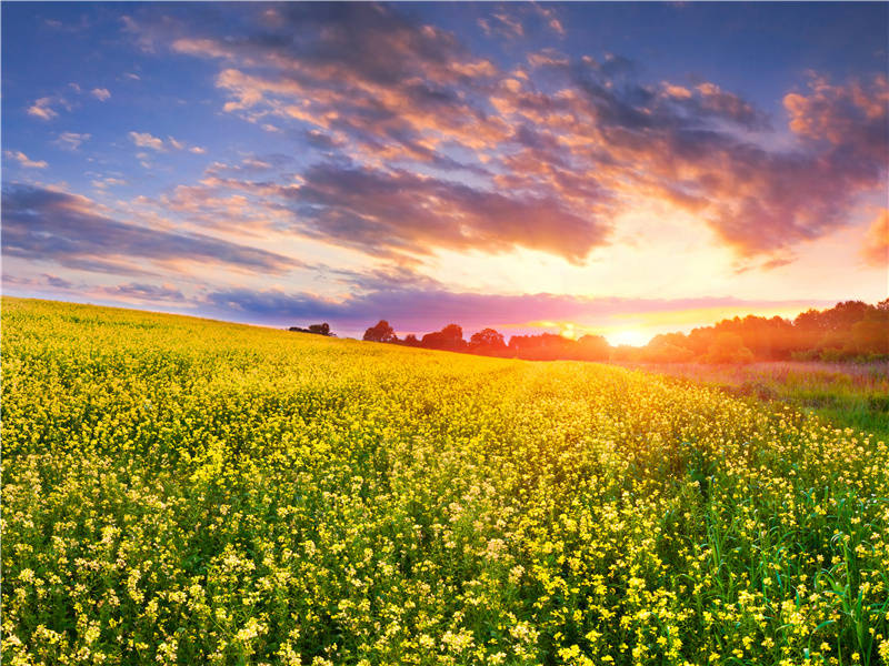 巫山人之谜-世间奇人异事