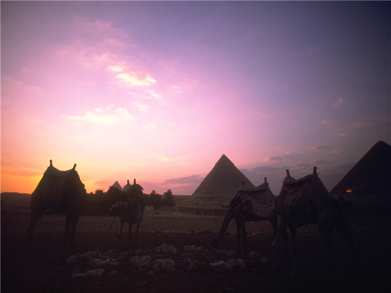 来自外星的启发-世间奇人异事