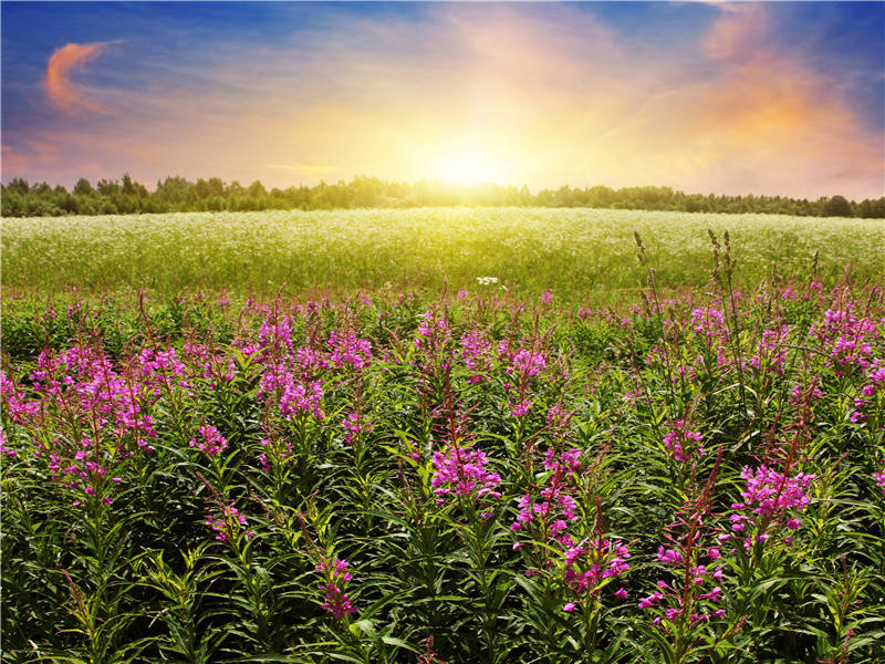 轻松玩火-世间奇人异事