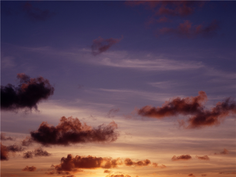 英、法、比的例子-世间奇人异事