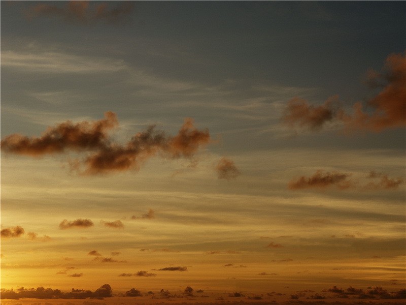 毒人-世间奇人异事