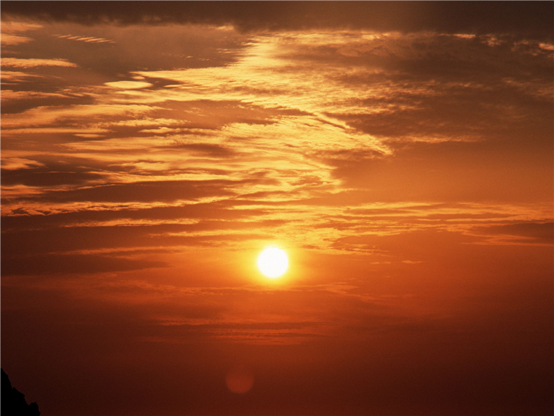 翼人-世间奇人异事