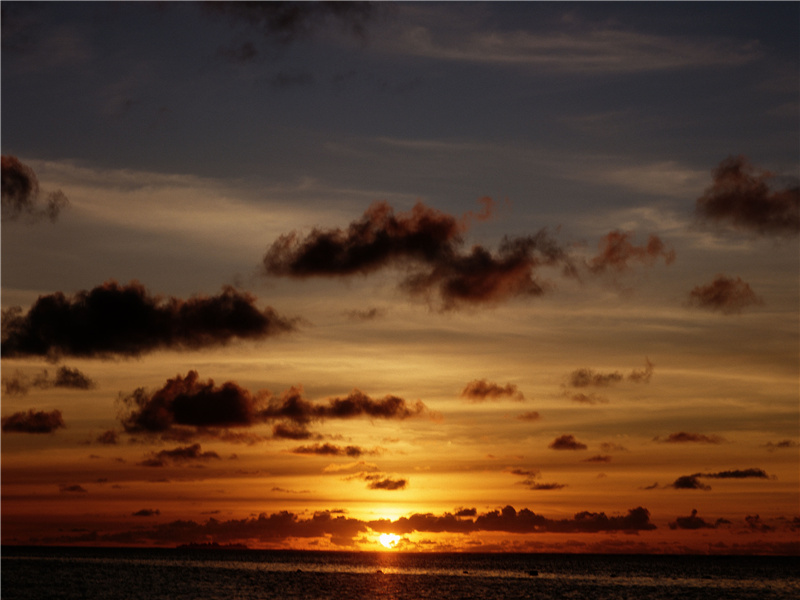 尼雅之谜-中亚古城失落之谜