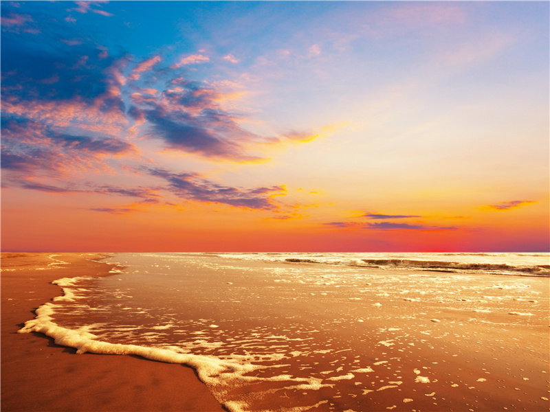 公主堡之谜-中亚古城失落之谜