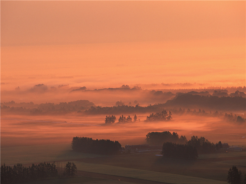 阳光古塞之谜-中亚古城失落之谜
