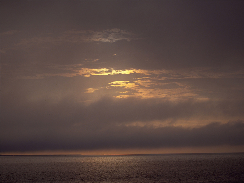 圆沙古城之谜-中亚古城失落之谜