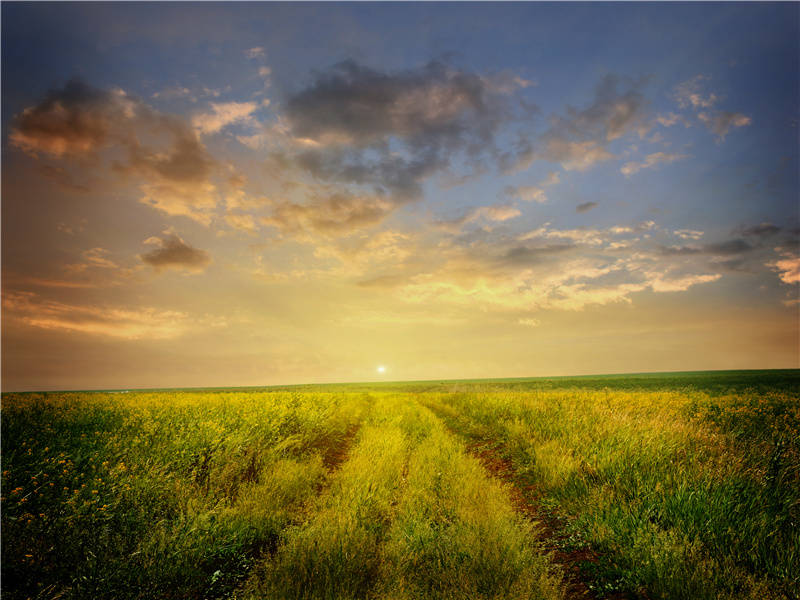 发现古埃及之谜-古埃及古城失落之谜