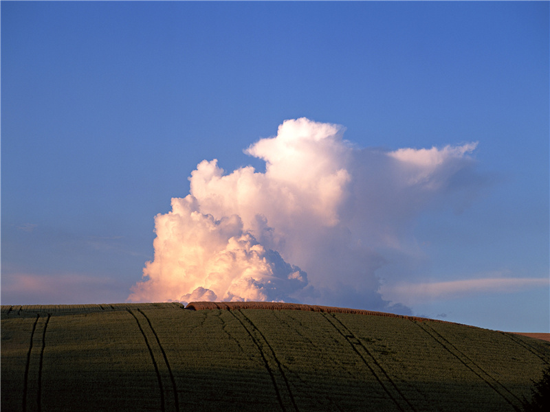 “圣井”之谜-玛雅失落之谜