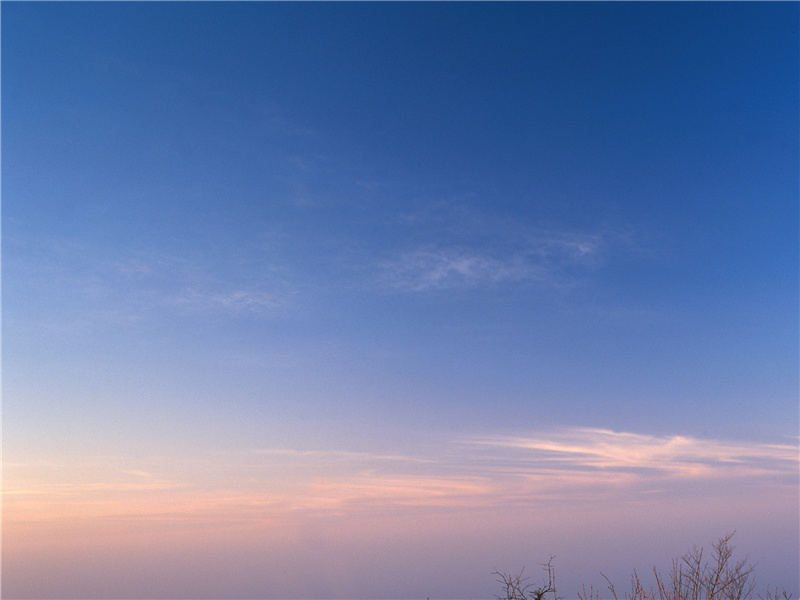 科潘之谜-玛雅失落之谜