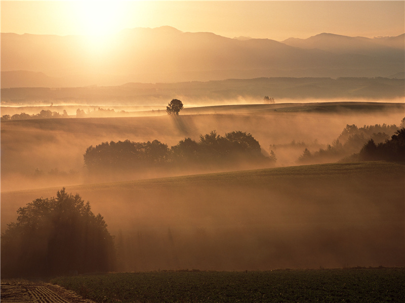 特奥蒂瓦坎之谜-中美洲古城失落之谜