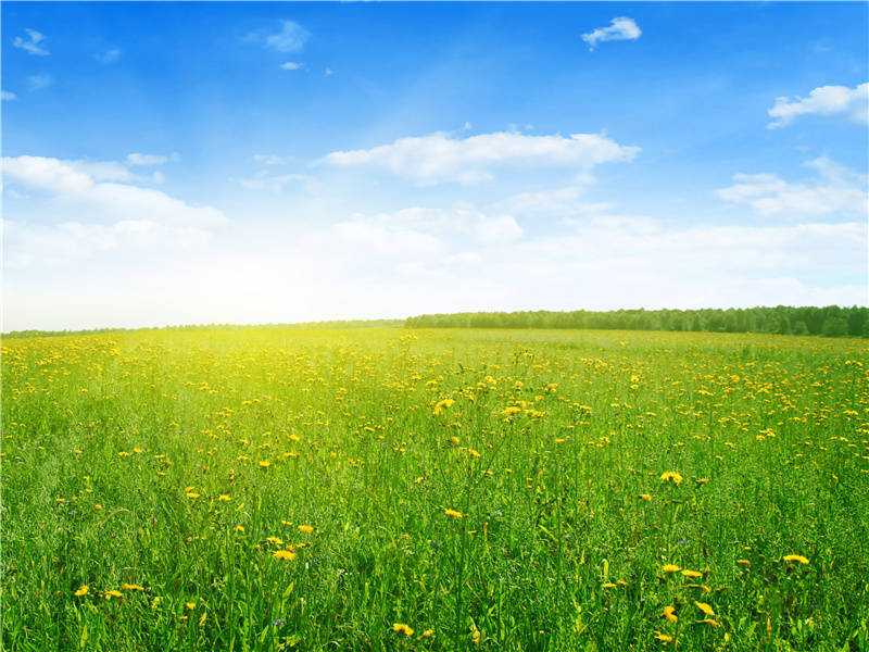 冥街之谜-中美洲古城失落之谜