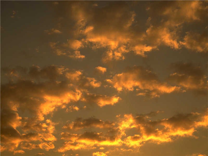 帕提提之谜-印加帝国失落之谜