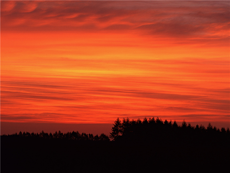 迈锡尼之谜-欧洲古城失落之谜